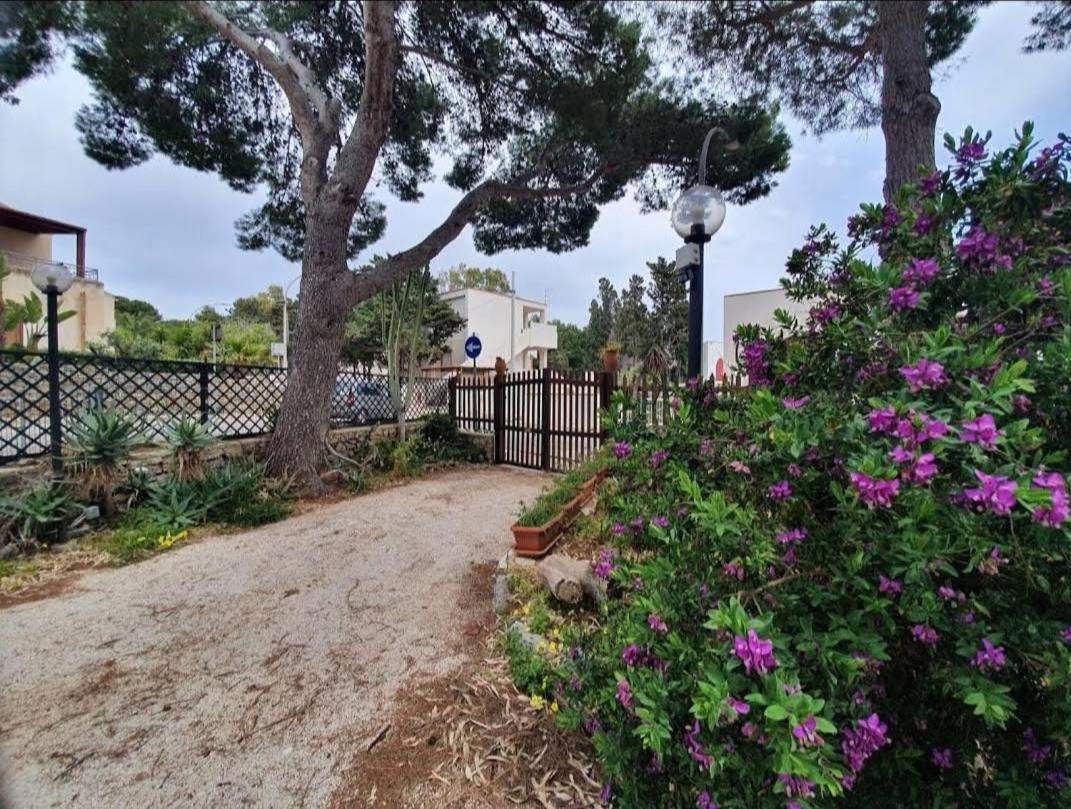 Villa Genna San Vito Lo Capo Eksteriør billede